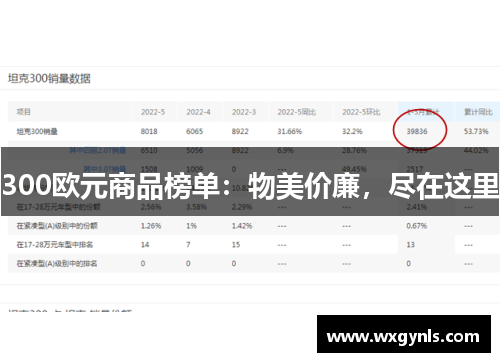 300欧元商品榜单：物美价廉，尽在这里