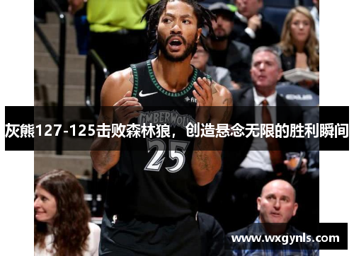 灰熊127-125击败森林狼，创造悬念无限的胜利瞬间